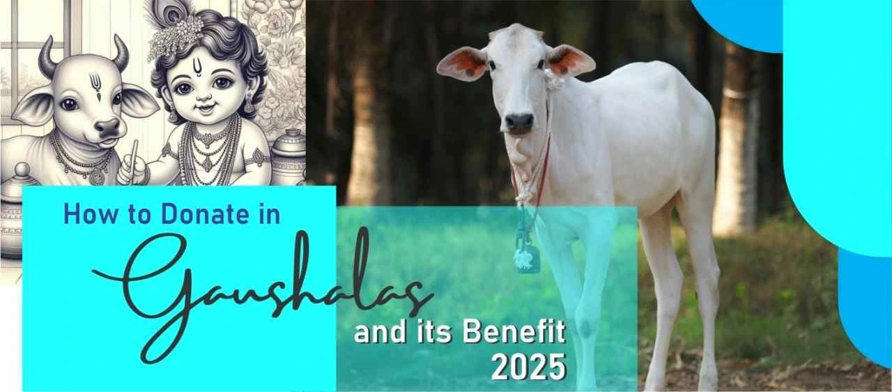How to Donate to Gaushala and Its Benefits